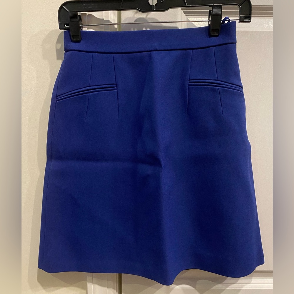 Alexander McQueen Skirt